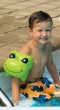 Swimline Animal Fun Bands - FROG